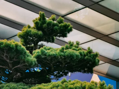 Casino Win Paradise Farsímaforrit